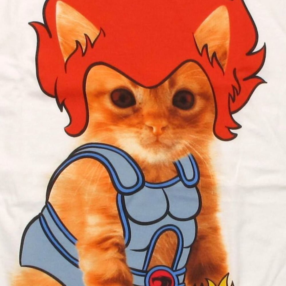 Meet your Posher, Pamela